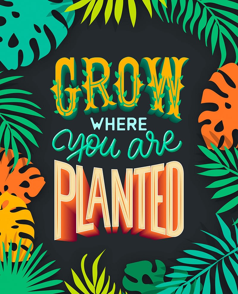 Grow where you are Planted - Lettering - Baking Design